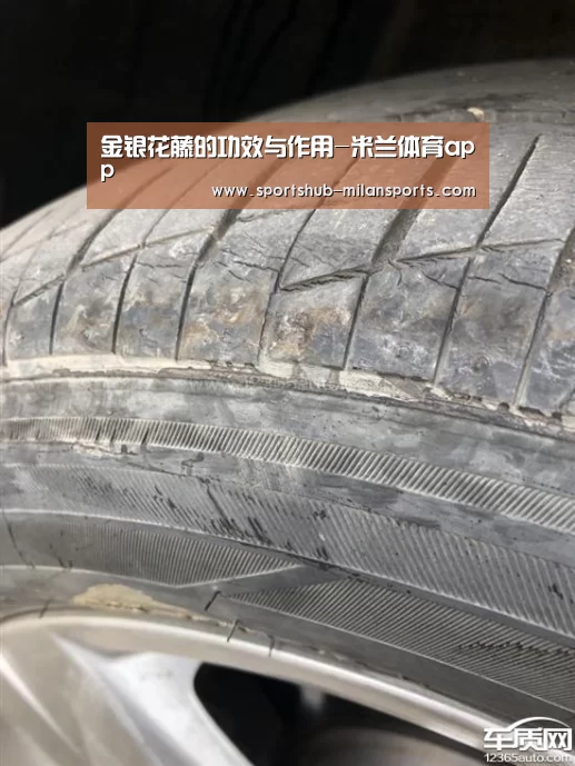 米兰体育app