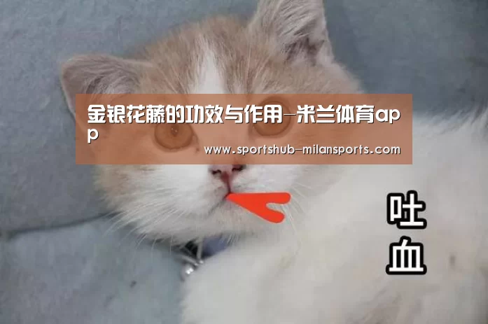 米兰体育app
