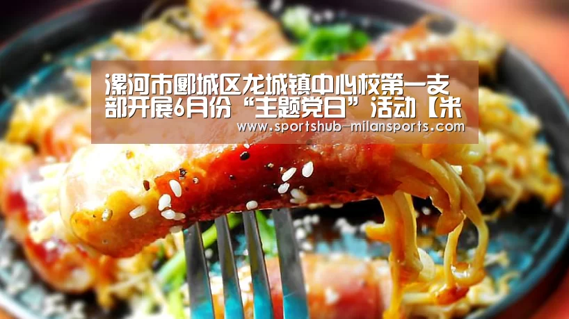 漯河市郾城区龙城镇中心校第一支部开展6月份“主题党日”活动【米兰体育平台】(图2) 米兰体育在线