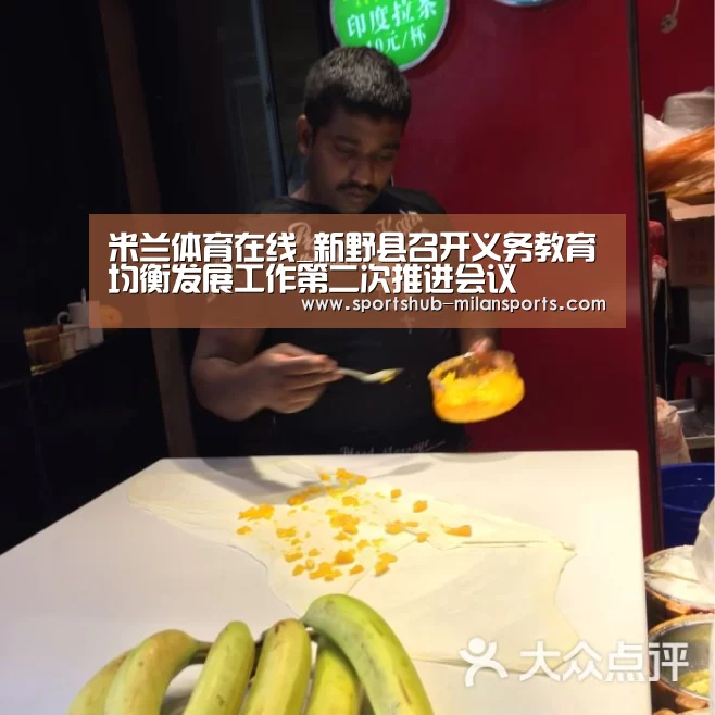 米兰体育在线_新野县召开义务教育均衡发展工作第二次推进会议(图2) 米兰体育app