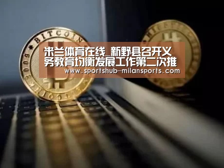 米兰体育在线_新野县召开义务教育均衡发展工作第二次推进会议(图3) MILANSPORT入口