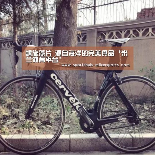 米兰体育app