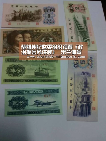 楚雄州纪监委组织观看《政治掮客苏洪波》-米兰体育app